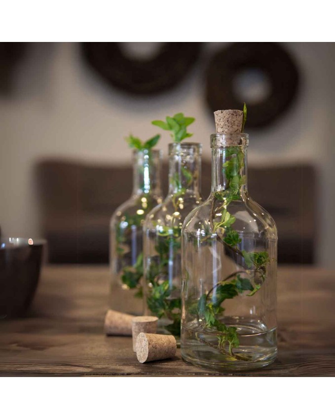 Шише с коркова тапа, стъкло